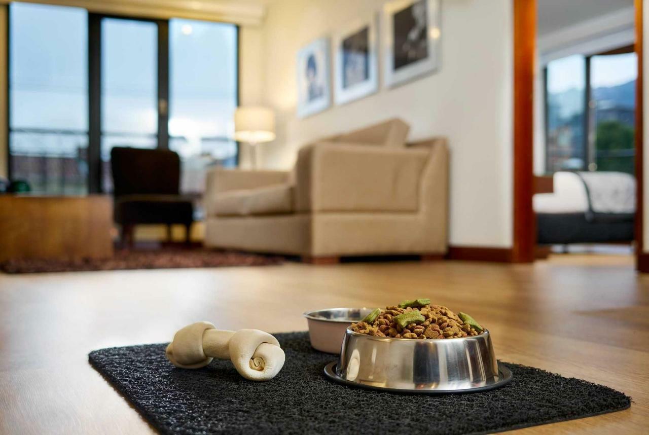 Hotel Celebrities Suites Μπογκοτά Εξωτερικό φωτογραφία